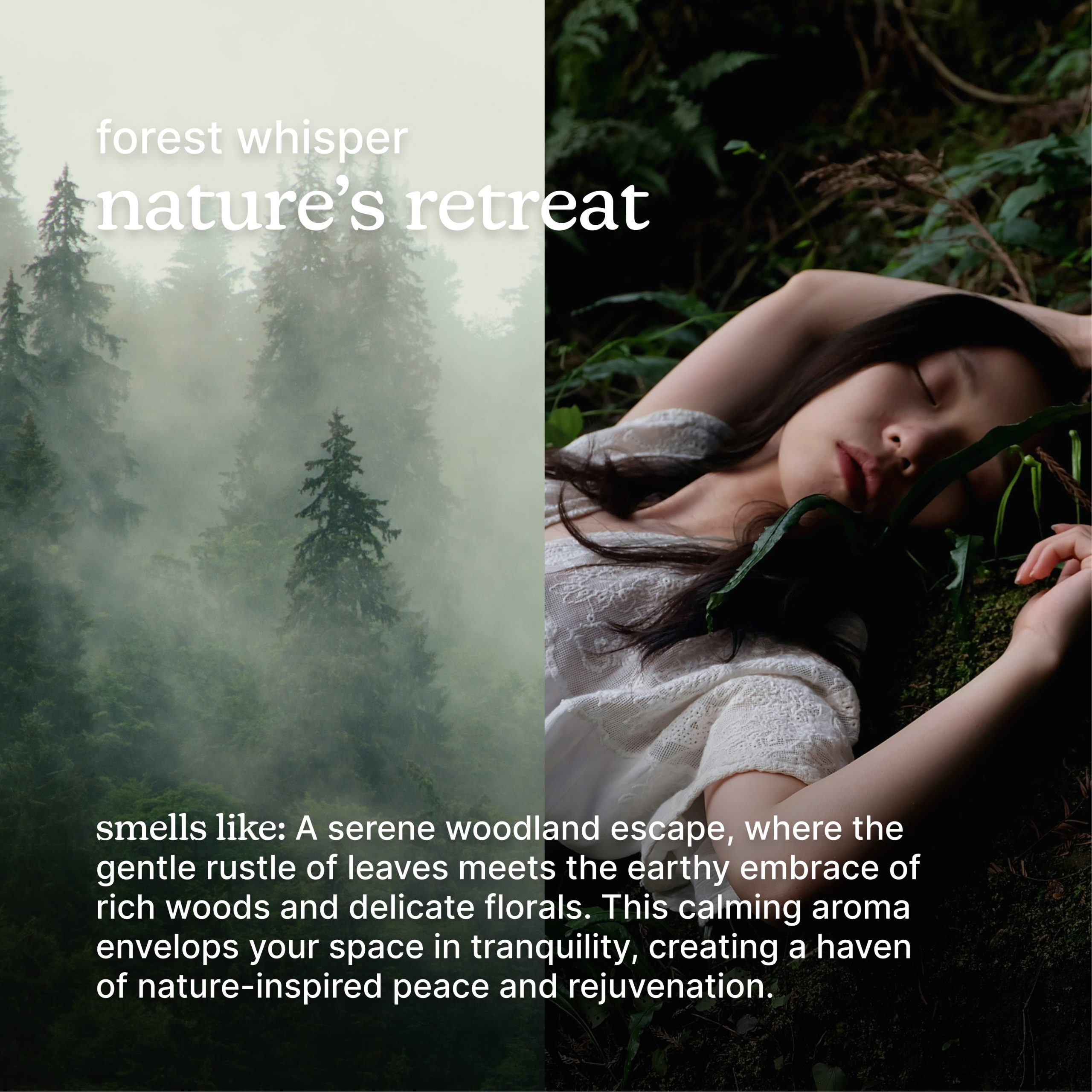 SereneScent Forest Whisper - Image 3