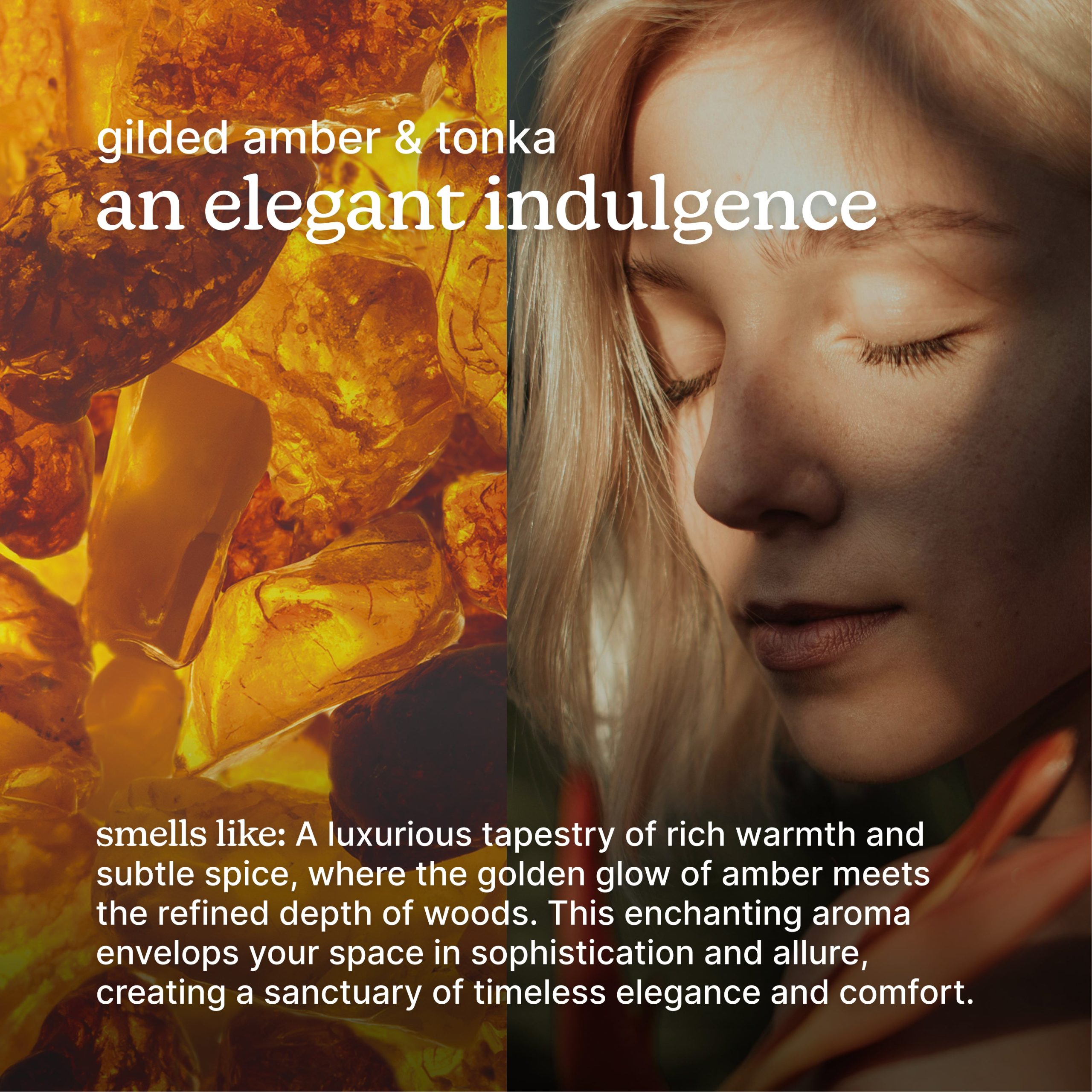 SereneScent Gilded Amber & Tonka - Image 3