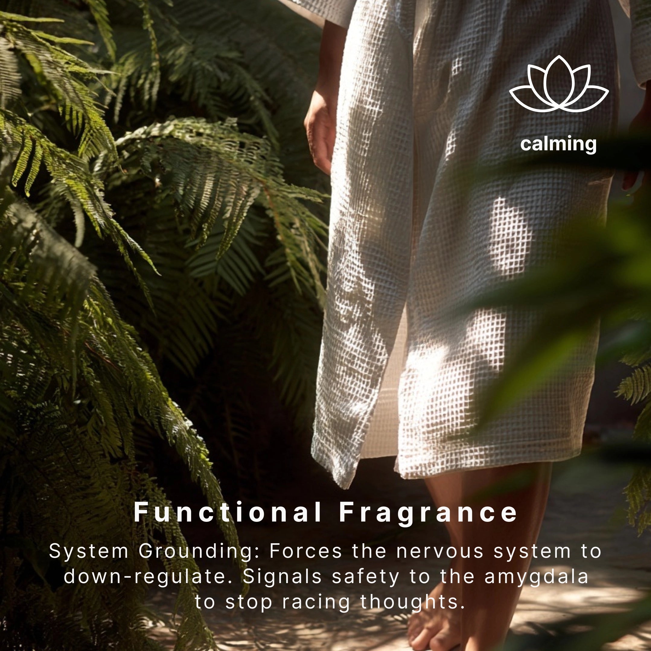 SereneScent Jasmine & Sandalwood - Image 3