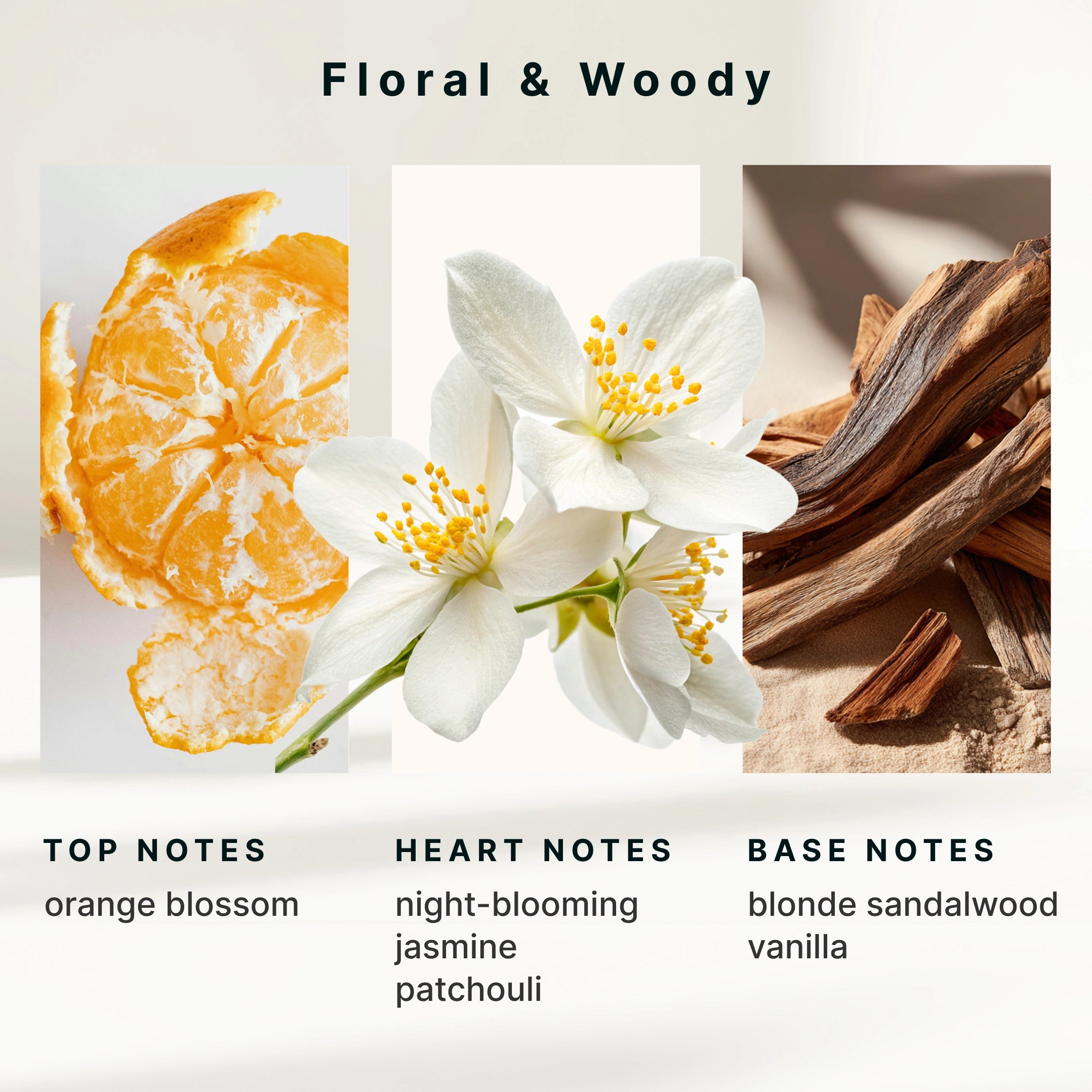 SereneScent Jasmine & Sandalwood - Image 6