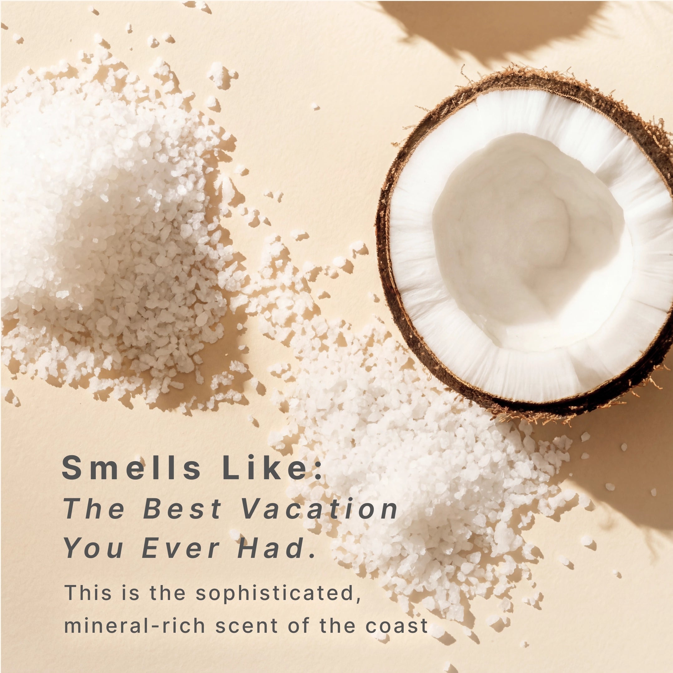 SereneScent Sea Salt & Coconut - Image 4
