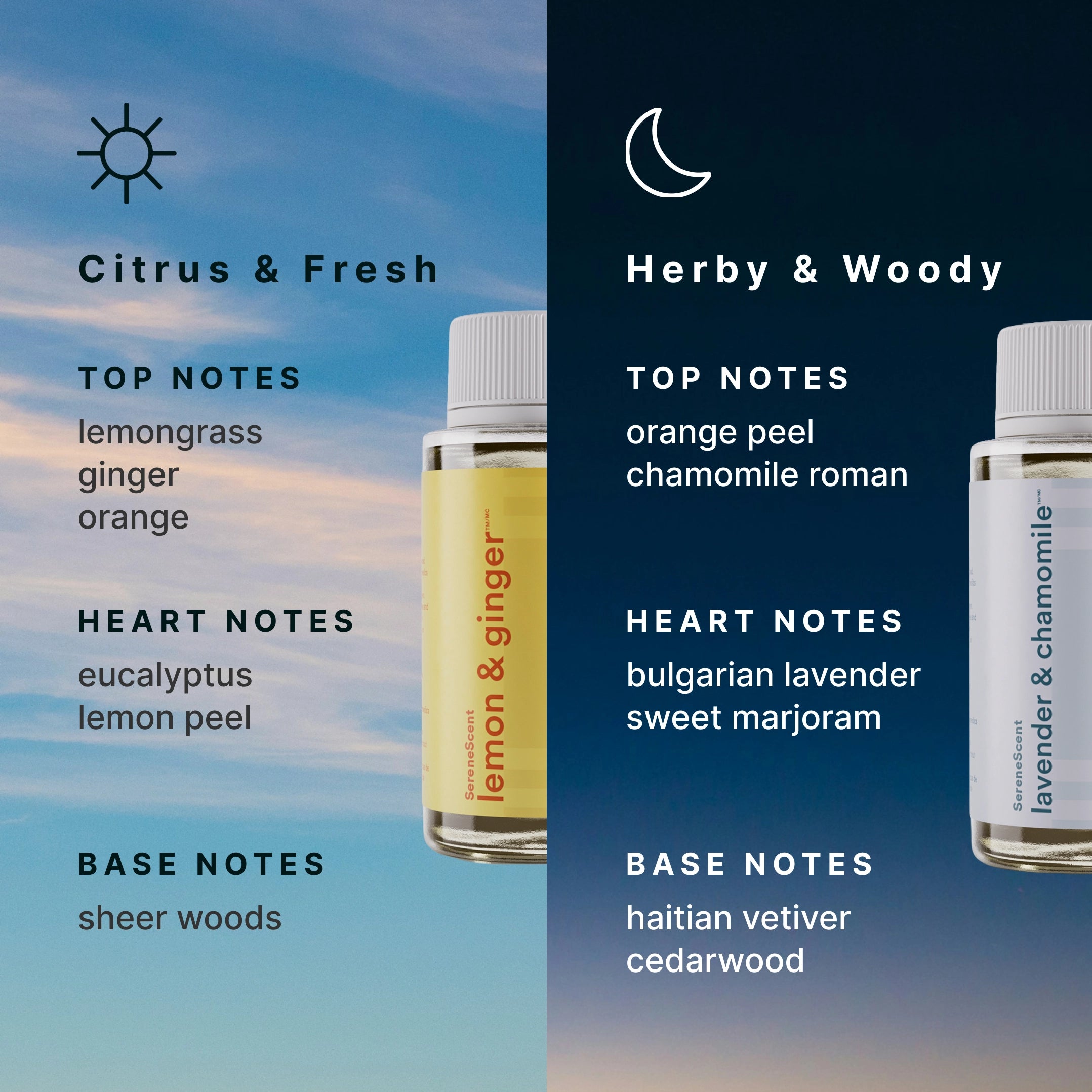 The Circadian Edit - Image 4