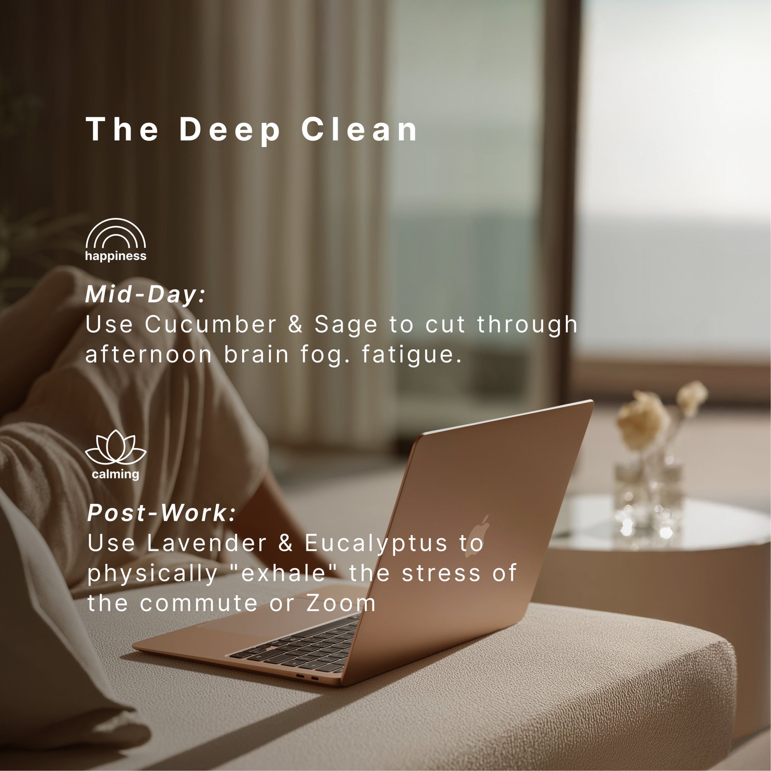 The Clarity Kit - Image 6